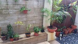 Tan Sim Boh Road (D11), Semi-Detached #275264681